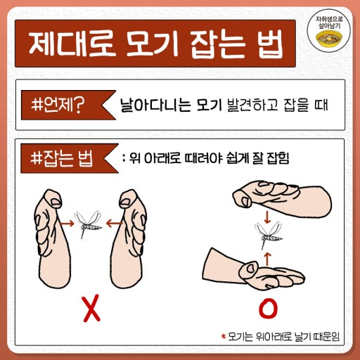 다운로드.jpg