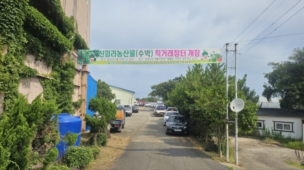 애월 신엄리 수박 직거래장터 개장…“제주 여름 대표 수박 본격 출하”